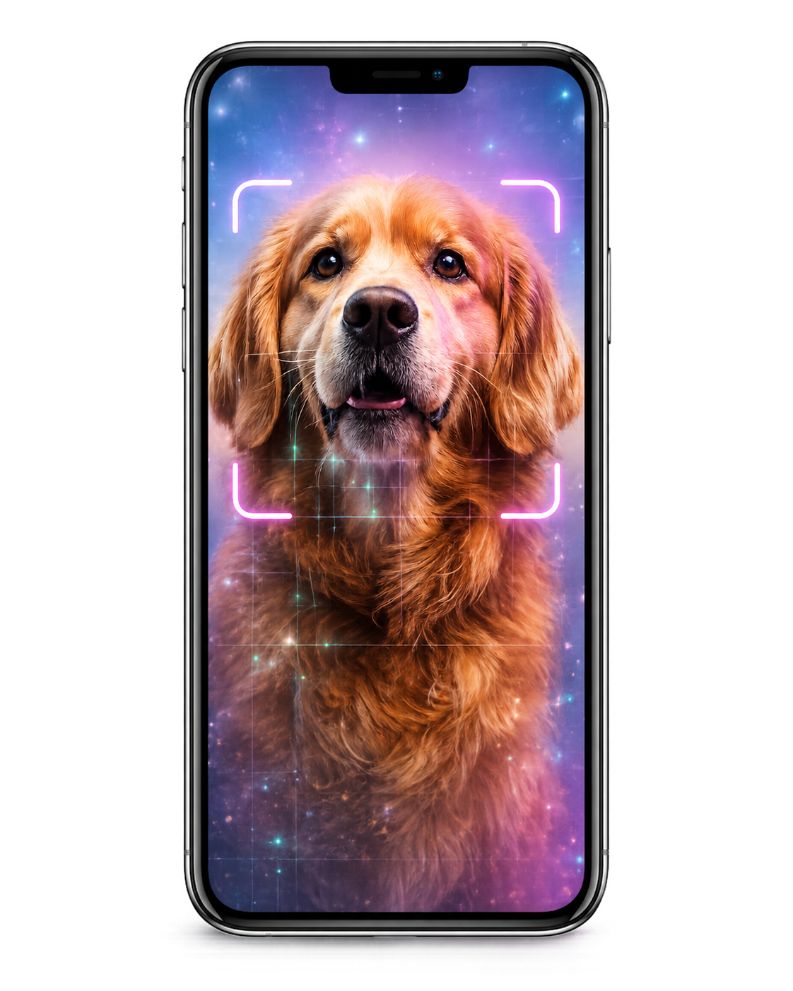 AI Scan — اسکن هوشمند عکس پت