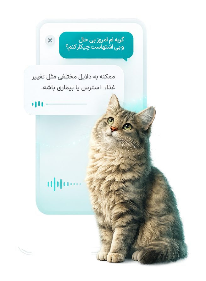 PetGPT — دستیار هوشمند مراقبت از پت